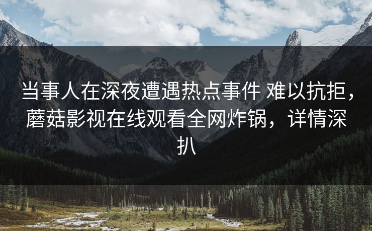 当事人在深夜遭遇热点事件 难以抗拒，蘑菇影视在线观看全网炸锅，详情深扒